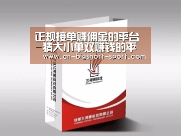 项目名称十三