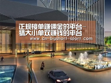 案例展示二