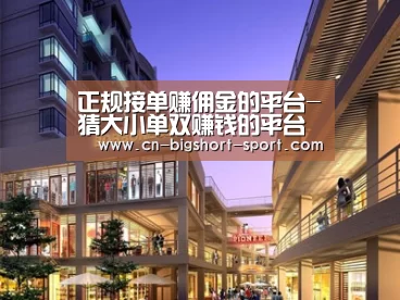 案例展示一